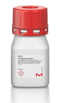 Kollagenase Typ I The collagenase type I (from Clostridium histolyticum) is a crude collagenase preparation that can be used for the isolation of primary cells or for tissue dissociation by enzymatic means.