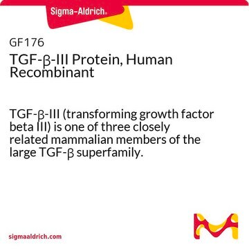 TGF-&#946;-III Protein, Human Recombinant TGF-&#946;-III (transforming growth factor beta III) is one of three closely related mammalian members of the large TGF-&#946; superfamily.