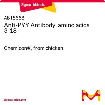 Anti-PYY Antibody, amino acids 3-18 Chemicon&#174;, from chicken