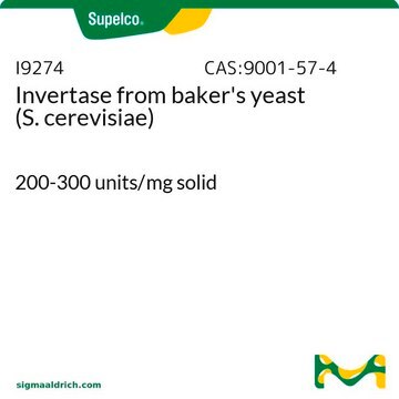 Invertase aus Backhefe (S. cerevisiae) 200-300&#160;units/mg solid