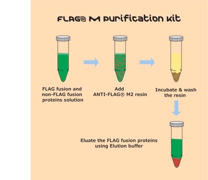 FLAG&#174; M Purification Kit For Mammalian expression systems.