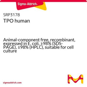 TPO human Animal-component free, recombinant, expressed in E. coli, &#8805;98% (SDS-PAGE), &#8805;98% (HPLC), suitable for cell culture