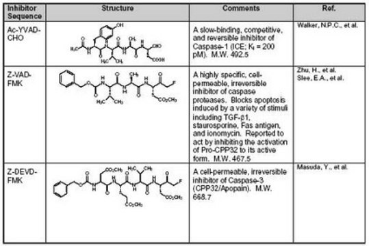 Caspase Inhibitor Set I The Caspase Inhibitor Set I controls the biological activity of Caspase-1. This collection of small molecule/inhibitor is primarily used for Cancer applications.