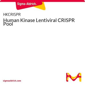 Human Kinase Lentiviral CRISPR Pool