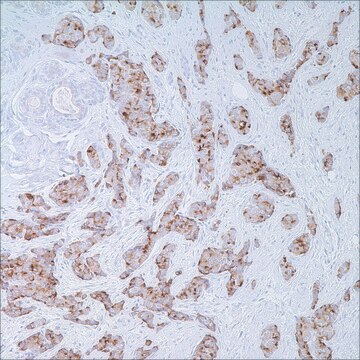 EMA (E29) Mouse Monoclonal Antibody