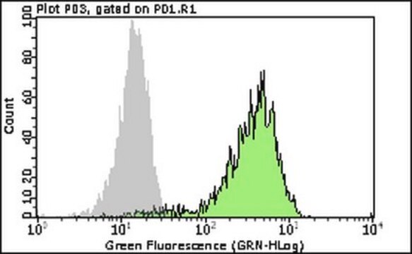 Milli-Mark&#174; Anti-Brachyury-FITC Antibody, clone 3E4.2 clone 3E4.2, Milli-Mark&#174;, from mouse