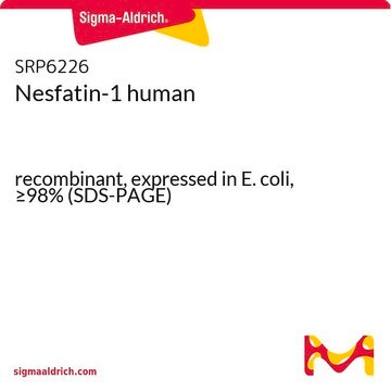 Nesfatin-1 human recombinant, expressed in E. coli, &#8805;98% (SDS-PAGE)