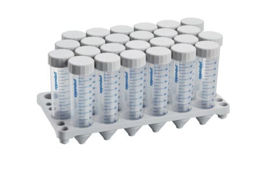 Eppendorf&#174; Conical Tubes sterile, pyrogen-, DNase-, RNase-, and DNA-free, pack of 300&#160;ea (12 racks x 25 tubes)