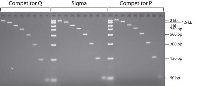 GenElute&#8482; Gelextraktions-Kit sufficient for 70&#160;purifications