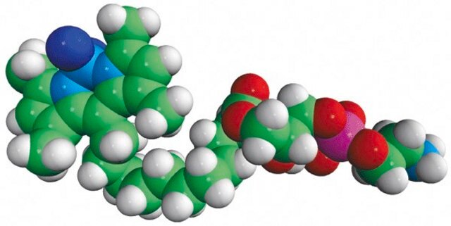 TopFluor&#174; Lyso PE Avanti Polar Lipids 810285P, powder