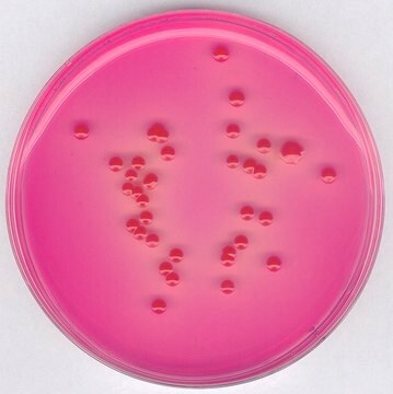 Dichloran Rose bengal Agar (Base) NutriSelect&#174; Plus, suitable for microbiology