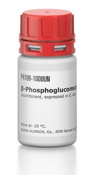 &#946;-Phosphoglucomutase from Lactococcus sp. recombinant, expressed in E. coli