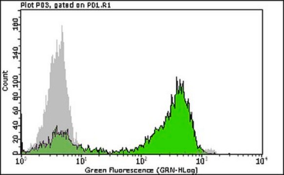 Anti-phospho H3 (Ser10) Antibody, clone 3H10 Alexa Fluor&#8482; 488 clone 3H10, from mouse, ALEXA FLUOR&#8482; 488