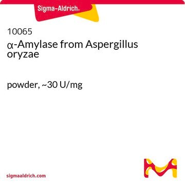 &#945;-Amylase aus Aspergillus oryzae powder, ~30&#160;U/mg