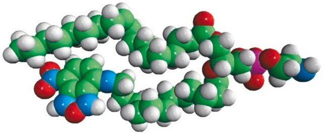 18:1-12:0 NBD PE Avanti Polar Lipids 810156C