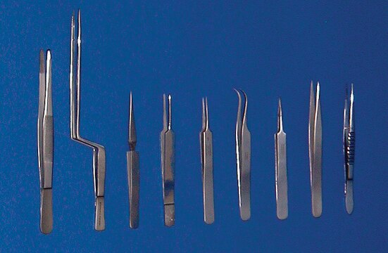 Stainless steel forceps Specimen, L 8&#160;in.