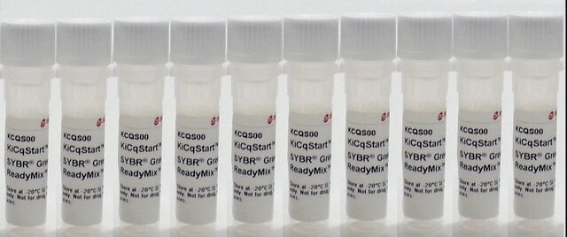 KiCqStart&#174; SYBR&#174; Green qPCR-Fertigmix&#8482; For Bio-Rad, Cepheid, Eppendorf, Illumina, Corbett, and Roche systems