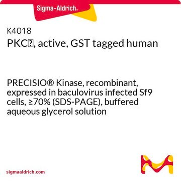 PKC&#950;, active, GST tagged human PRECISIO&#174; Kinase, recombinant, expressed in baculovirus infected Sf9 cells, &#8805;70% (SDS-PAGE), buffered aqueous glycerol solution