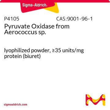 Pyruvate Oxidase from Aerococcus sp. lyophilized powder, &#8805;35&#160;units/mg protein (biuret)