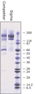 &#945;2-Macroglobulin aus Humanplasma BioUltra, &#8805;98% (SDS-PAGE)