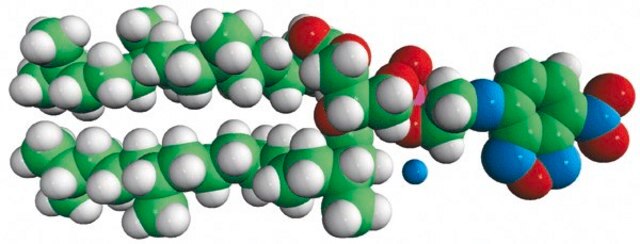 4ME 16:0 NBD PE (NBD-DPhPE) 1,2-diphytanoyl-sn-glycero-3-phosphoethanolamine-N-(7-nitro-2-1,3-benzoxadiazol-4-yl) (ammonium salt), chloroform