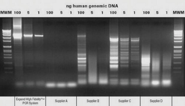 Expand&#8482; High FidelityPLUS PCR-System sufficient for &#8804;500&#160;reactions (03300226001), sufficient for &#8804;2,500&#160;reactions (03300234001), suitable for PCR, High Fidelity PCR, hotstart: no, dNTPs included: no