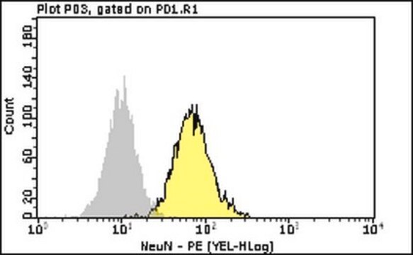 Milli-Mark&#174; Anti-NeuN-PE Antibody, clone A60 clone A60, Milli-Mark&#174;, from mouse