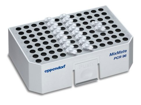 Eppendorf&#174; Tube holder PCR 96 Holds 96 x 0.2 mL PCR-tubes, -strips or 96-well PCR-plates, semi- skirted or unskirted