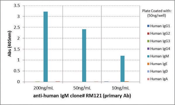 Anti-Human IgM antibody, Rabbit monoclonal recombinant, expressed in HEK 293 cells, clone RM121, purified immunoglobulin