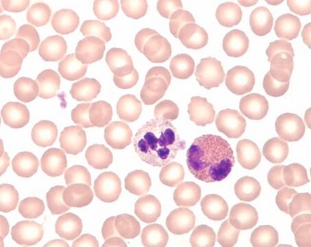 Hemacolor&#174; Rapid staining of blood smear suitable for hematology, staining set for microscopy