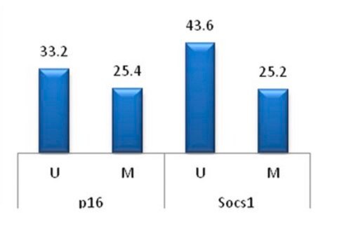 CpGenome Rat Methylated Genomic DNA Standard Useful as a control or standard for variety of epigenomic assays such as methylated or unmethylated DNA enrichment, bisulfite conversion or melt curve analysis to determine the status of global or locus- specific DNA methylation.