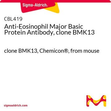 Anti-Eosinophil-Major-Basic-Protein-Antikörper, Klon BMK13 clone BMK13, Chemicon&#174;, from mouse