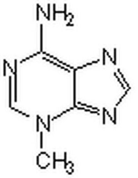 Autophagie-Inhibitor, 3-MA Autophagy Inhibitor, 3-MA, CAS 5142-23-4, is a cell-permeable autophagic sequestration blocker. Acts as an inhibitor of III PI3-Kinase.