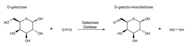 Galactose-Oxidase aus Dactylium dendroides lyophilized powder, &#8805;3,000&#160;units/g solid