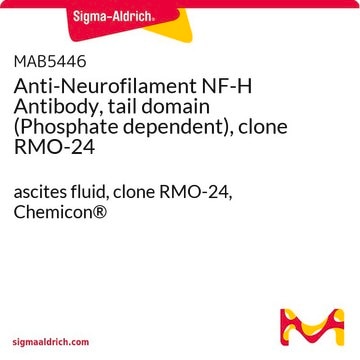 Anti-Neurofilament NF-H Antibody, tail domain (Phosphate dependent), clone RMO-24 ascites fluid, clone RMO-24, Chemicon&#174;