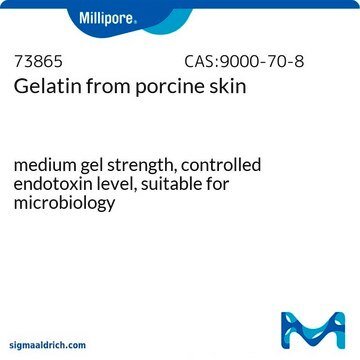 Gelatine aus Schweinehaut from Porcine skin, pkg of 500&#160;g, suitable for microbiology