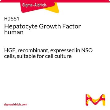 Hepatocyte Growth Factor human HGF, recombinant, expressed in NSO cells, suitable for cell culture