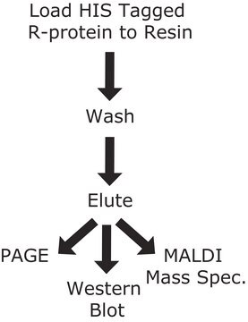 HIS-Select&#174; Nickel-Affinitätsgel (1:1 suspension in a 20% ethanol solution)