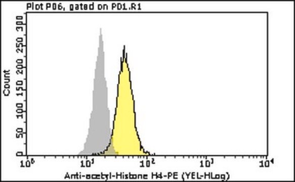 Milli-Mark&#174; Anti-acetyl-Histone H4 Antibody-PE Milli-Mark&#174;, from rabbit