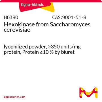 Hexokinase aus Saccharomyces cerevisiae lyophilized powder, &#8805;350&#160;units/mg protein, Protein &#8805;10&#160;% by biuret