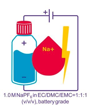 Sodium hexafluorophosphate solution in ethylene carbonate, dimethylcarbonate, and ethylmethylcarbonate, 1.0 M NaPF6 in EC/DMC/EMC=1:1:1 (v/v/v), battery grade