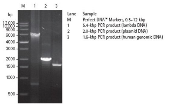 KOD DNA-Polymerase High fidelity DNA polymerase designed for accurate PCR amplification of DNA templates for general cloning and cDNA amplification applications.