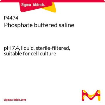 Phosphate buffered saline pH 7.4, liquid, sterile-filtered, suitable for cell culture