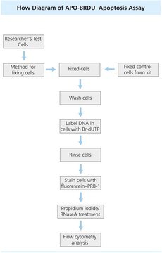 Flow Cytometry Kit for Apoptosis