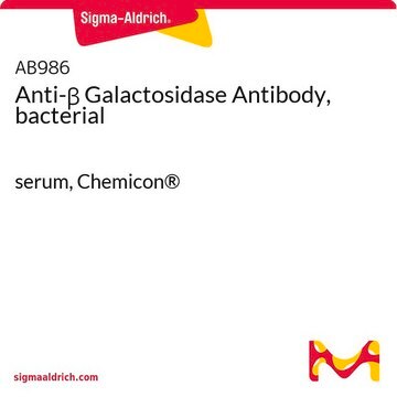 Anti-&#946; Galactosidase Antibody, bacterial serum, Chemicon&#174;