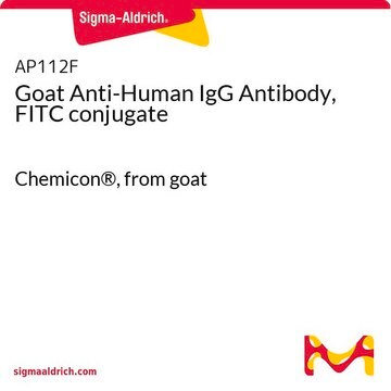 Goat Anti-Human IgG Antibody, FITC conjugate Chemicon&#174;, from goat