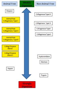 Animal Free Collagenase/Dispase Blend I Animal Free Collagenase/Dispase Blend I is a mixture of animal free collagenase, type B, and neutral protease/dispase, and is inteneded to be used when a more potent enzymatic dissociatation solution than collagnaease is desired.