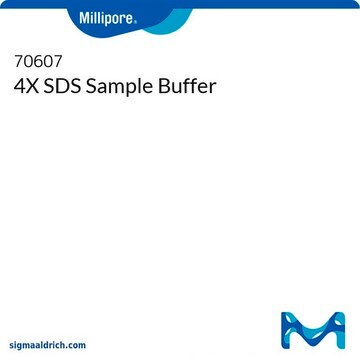 4X SDS Sample Buffer