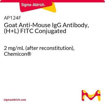 Goat Anti-Mouse IgG Antibody, (H+L) FITC Conjugated 2&#160;mg/mL (after reconstitution), Chemicon&#174;