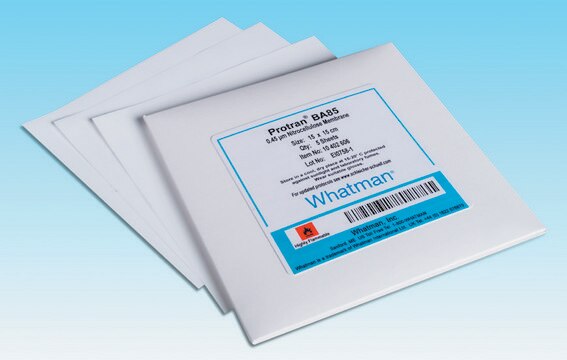 Whatman&#174; nitrocellulose membrane filters NC10 Membrane Circles, diam. 47&#160;mm, pore size 0.1&#160;&#956;m